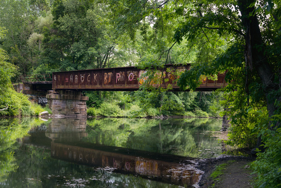 Bridge in Jean Van Pelt Park - Fishkill NY, June 2016