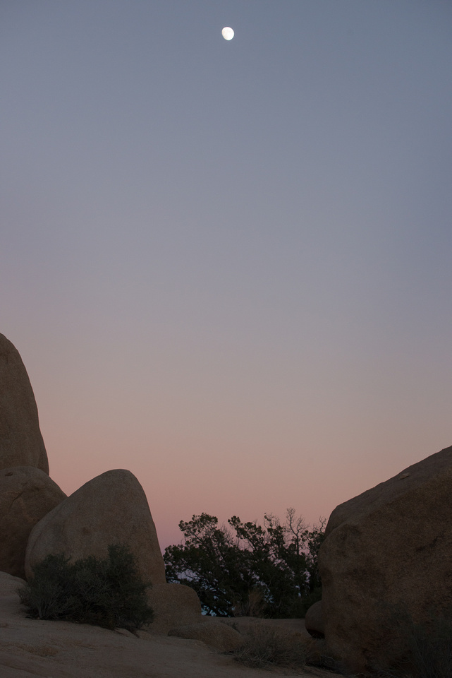 29 Palms - Joshua Tree