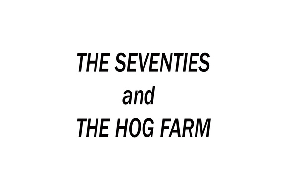 The Seventies and the Hog Farm